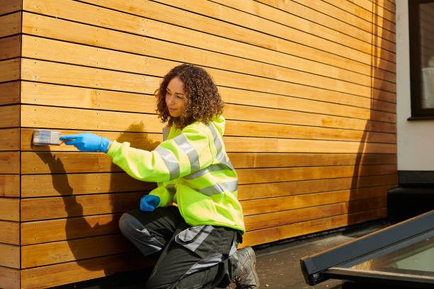 Best Fascia and Soffit Installation  in Burleson, TX